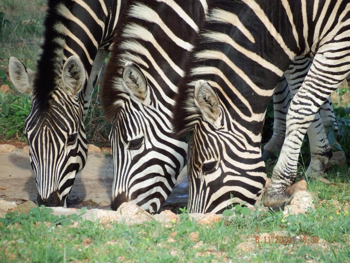 Ku Sungula Safari Lodge Rezervace Balule Exteriér fotografie