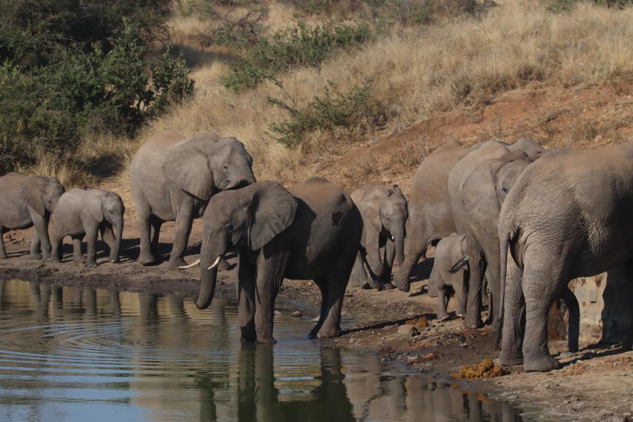 Ku Sungula Safari Lodge Rezervace Balule Exteriér fotografie