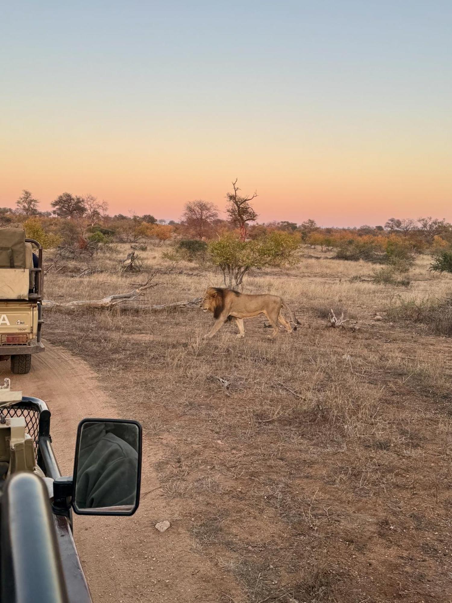 Ku Sungula Safari Lodge Rezervace Balule Exteriér fotografie