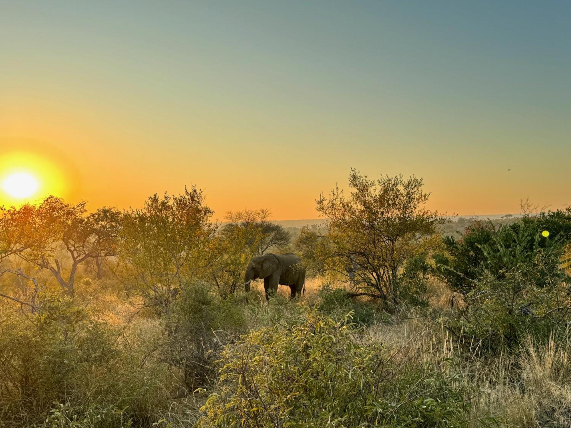 Ku Sungula Safari Lodge Rezervace Balule Exteriér fotografie