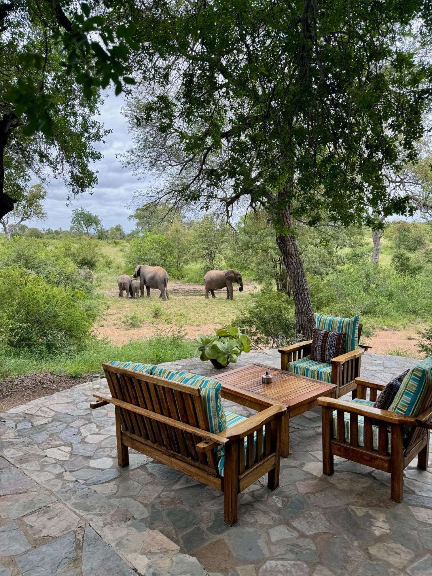 Ku Sungula Safari Lodge Rezervace Balule Exteriér fotografie