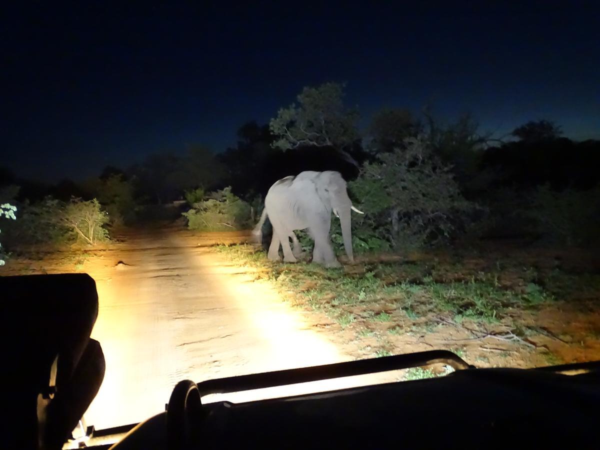 Ku Sungula Safari Lodge Rezervace Balule Exteriér fotografie