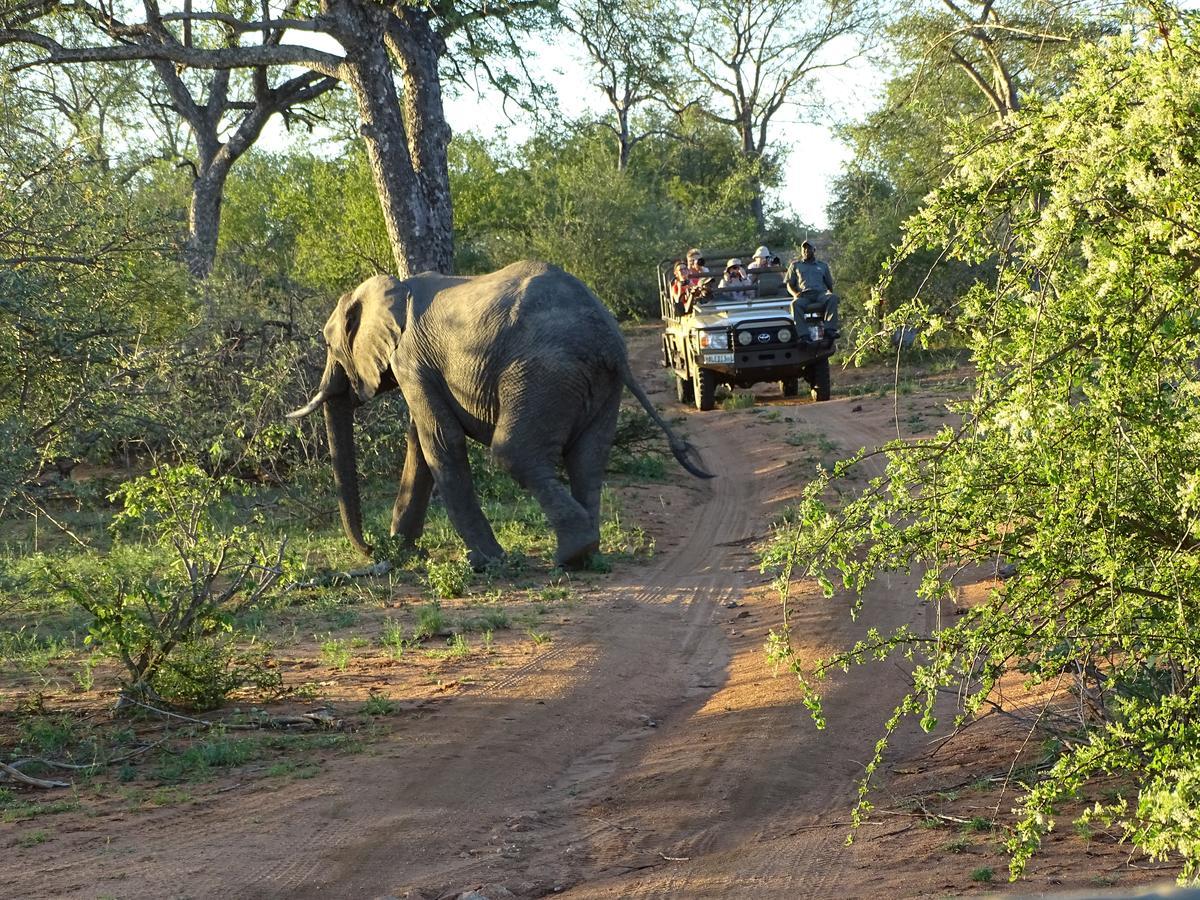 Ku Sungula Safari Lodge Rezervace Balule Exteriér fotografie