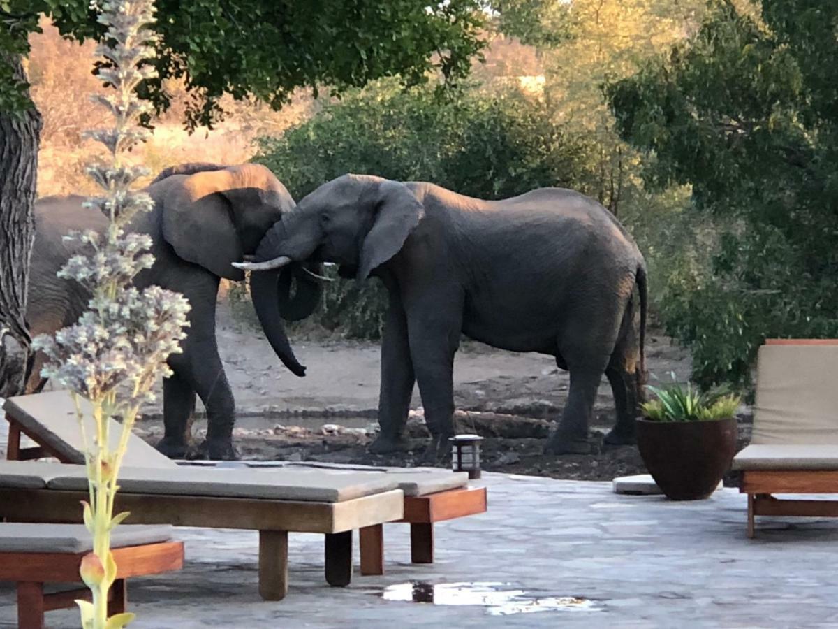 Ku Sungula Safari Lodge Rezervace Balule Exteriér fotografie